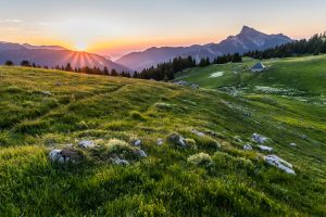 soleil se couchant en montagne au dessus d'une prairie