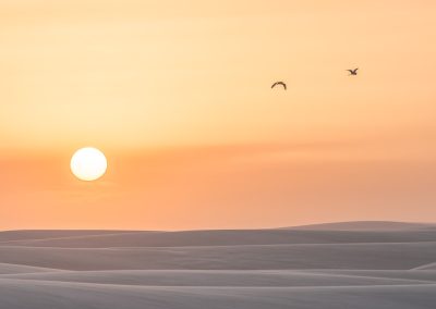 Photos en harmonie - prestation photographe vente de photos - Deux oiseaux passent devant le soleil couchant au dessus des dunes de sable