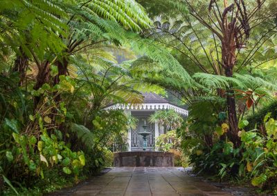 photos en harmonie habitation créole dans végétation tropicale