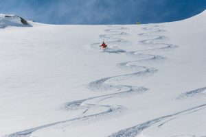 traces de skieurs dans la neige fraiche