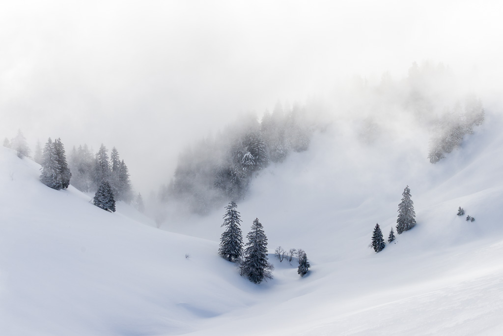 Benoit-Audige-exposition-dans le blanc-006 Photos en harmonie vente photographies