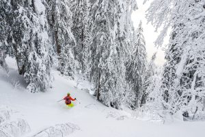 Ski de randonnée dans les Alpes