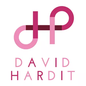 Logo David hardit production