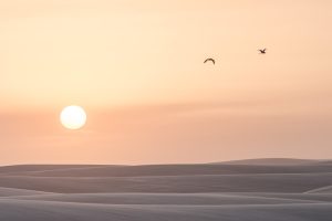 Photos en harmonie vente photographies