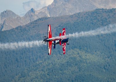 Avions de voltige de l'armée de l'air
