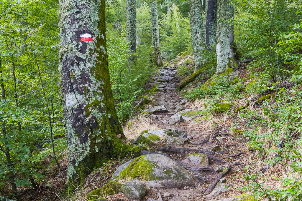 Sentier de Grande randonnée en Corse